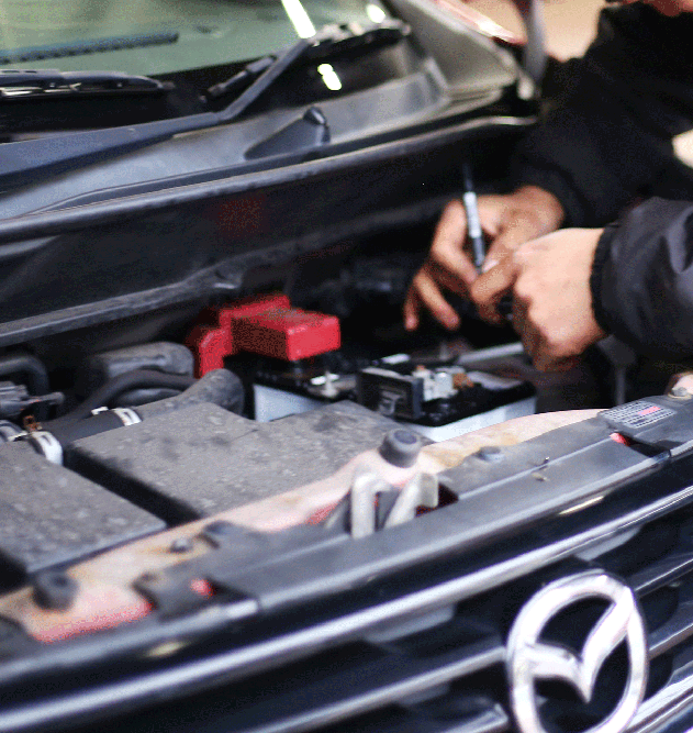 新車・中古車販売